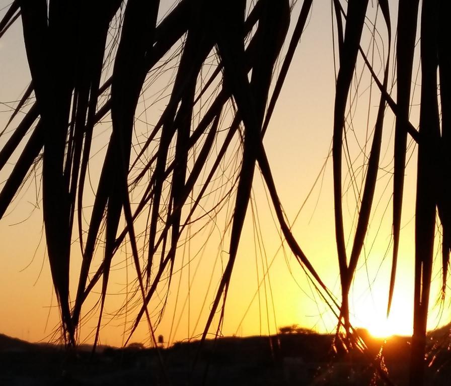 Lapa Lapa Lobitos Bungalows Hotel Zewnętrze zdjęcie