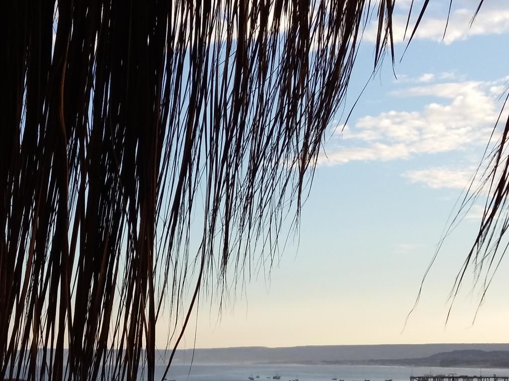 Lapa Lapa Lobitos Bungalows Hotel Zewnętrze zdjęcie