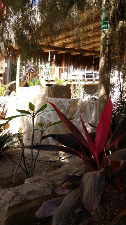 Lapa Lapa Lobitos Bungalows Hotel Zewnętrze zdjęcie