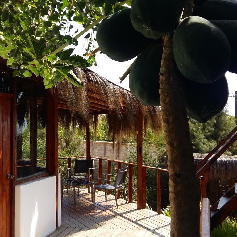 Lapa Lapa Lobitos Bungalows Hotel Zewnętrze zdjęcie